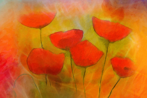 Lovely-poppies