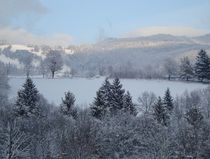 Winter wonderland by mehrfarbeimleben