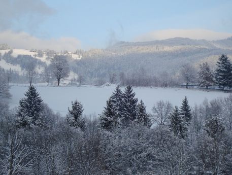 Winter-wonder-land