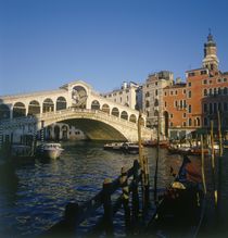 The Rialto Bridge in Venice by Luigi Petro