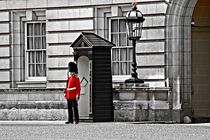 Sentry at Buckingham Palace in London. by Luigi Petro