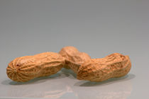 peanuts by Björn Wortmann