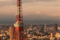 Tokyo 28 by Tom Uhlenberg