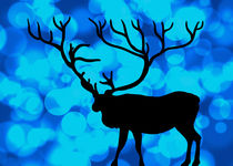 Oh Deer! BOKEH!!! von Denis Marsili