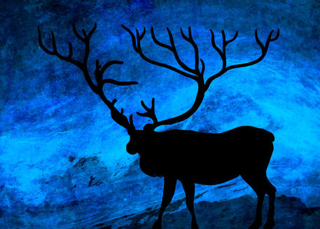 Deer-night-background-landscape-grunge
