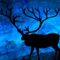 Deer-night-background-landscape-grunge