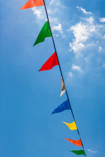 Festival Flags by Matilde Simas