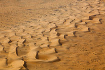 Namibian Desert by Matilde Simas