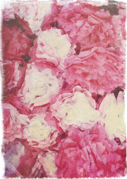 Paperflowers-c-sybillesterk