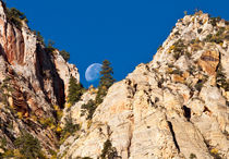 Moon rising, Zion, Utah, USA von Ken Howard