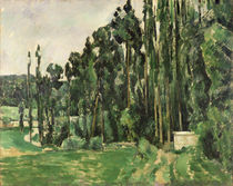 Pappeln von Paul Cezanne