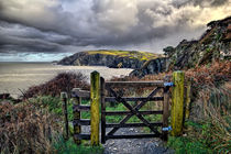 Sandy Cove, Lee Bay, North Devon by Dave Wilkinson