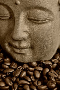 Coffee Buddha 2 by Falko Follert