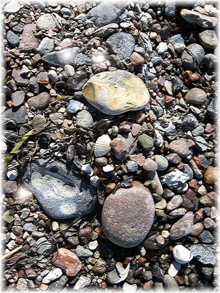 P-beast1-pebbles-at-the-beach1-copy