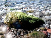 Mossy Stone in the Surf by Sabine Cox
