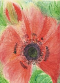 Watercolour - Poppy by Sabine Cox