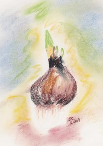 Oil Pastel - Hyacinth Bulb by Sabine Cox