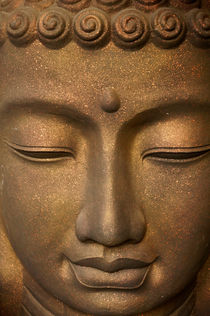 Meditating Buddha by John Mitchell