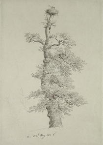 Ancient Oak Tree with a Stork`s Nest by Caspar David Friedrich