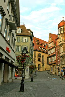 Tübingen, Germany. by Vasilissa Valdes