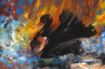 The Black Swan by Miki de Goodaboom