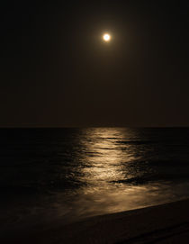 Moonrise von John Bailey