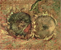 Two Cut Sunflowers by Vincent Van Gogh