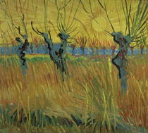 Pollarded Willows and Setting Sun by Vincent Van Gogh