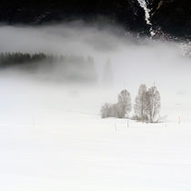 im Nebel von Jens Berger