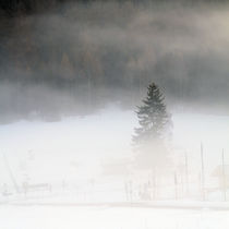 Nebel von Jens Berger