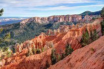 Bryce Canyon Ponderosa Point by John Bailey