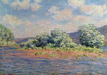 Die Seine bei Port-Villez von Claude Monet