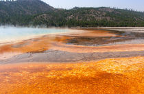 Yellowstone Geothermal Colors by John Bailey