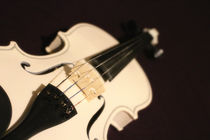 Violine by mario-s