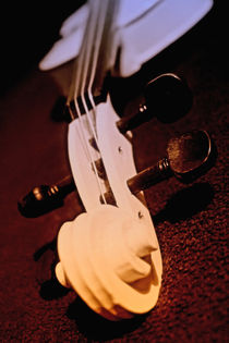 Violine von mario-s