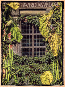 Fenster zum Garten by Uwe Karmrodt