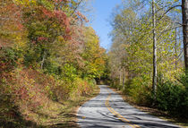 Colorful Drive by John Bailey