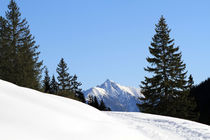 Winterlandschaft von Jens Berger