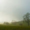 Nebel-sonne-0428-tatzmannsdorf-2010-af