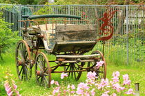 Vintage horse carriage in a flower bed  von amineah