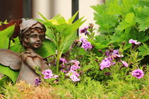 Flower-bed mit an angel statue by amineah
