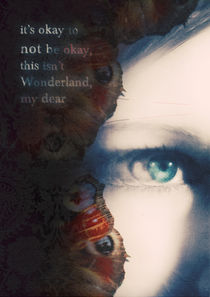 this is not wonderland by Sybille Sterk