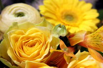 Yellow flowers von amineah
