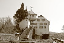 Schloss Wildegg, Castle von amineah