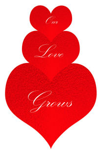 Our Love Grows by Judy Hall-Folde