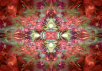Kaleidoscope Red von Steve Ball