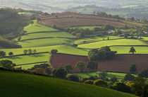 Mid Devon fields von Pete Hemington