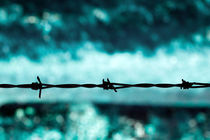 Barbed Wire Blue von Steve Ball