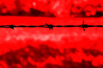 Barbed Wire Red von Steve Ball