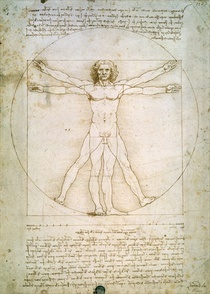 The Proportions of the human figure (after Vitruvius) by Leonardo Da Vinci